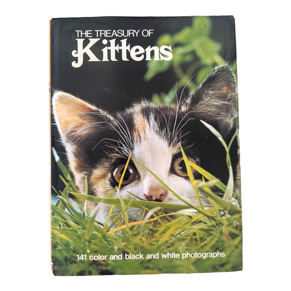 The Treasury of Kittens by Marjorie Hudson (1973) Vintage Hardcover Book - Picture 1 of 7